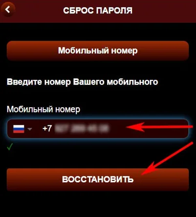 Окно сброса пароля с полем номера, открытое из ярлыка